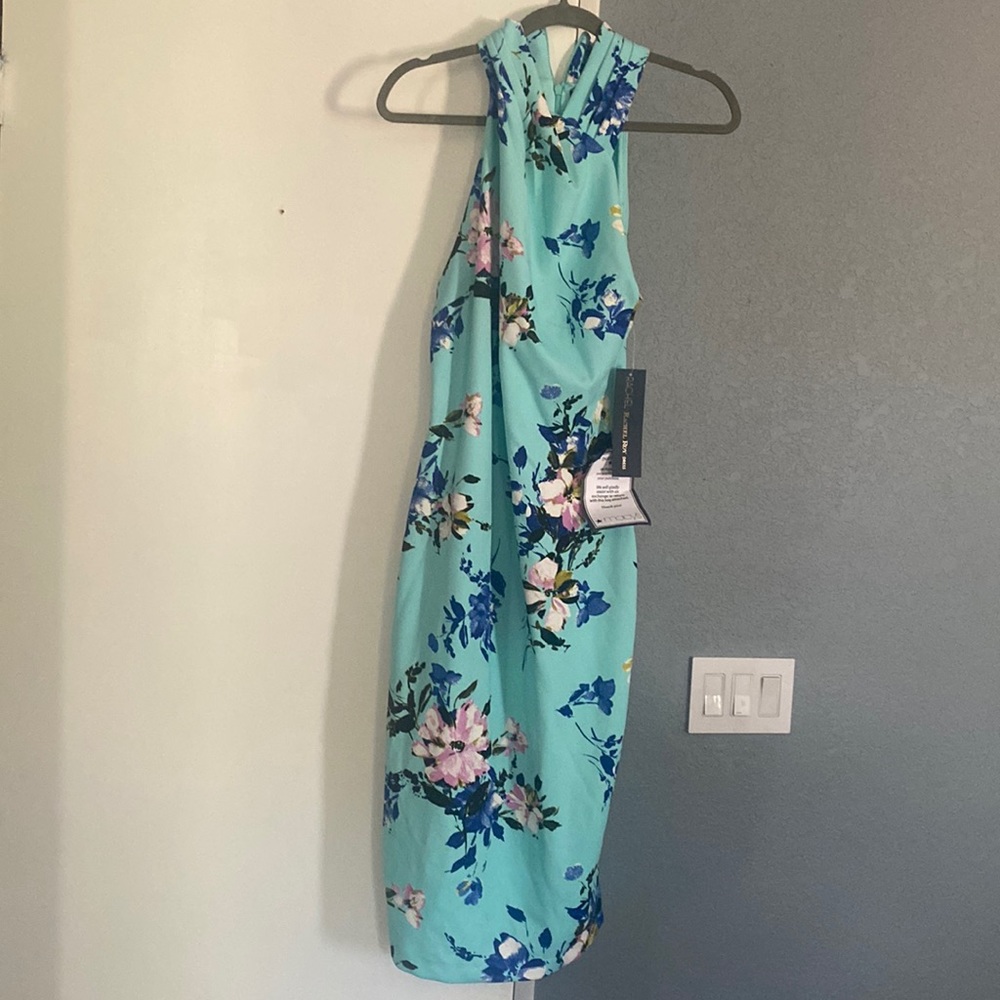 Beautiful NWT Rachael Roy dress. Size Large